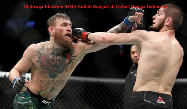 Olahraga Ekstrem MMA Sudah Banyak di Geluti Warga Indonesia